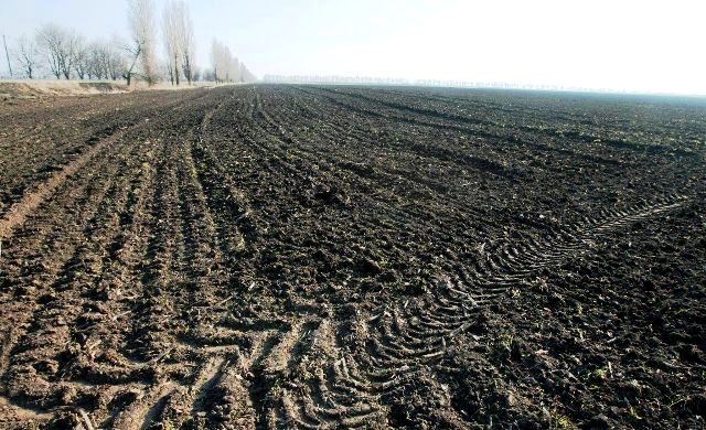 Земельний кадастр України стає усе повнішим